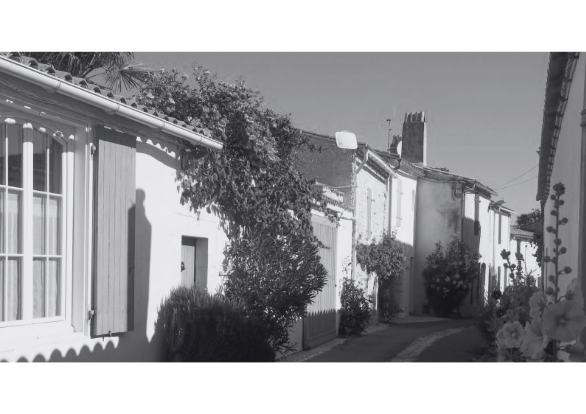 Île de Ré | Foto Valéria Caroni